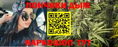 индика Шелехов