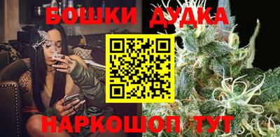 индика Шелехов