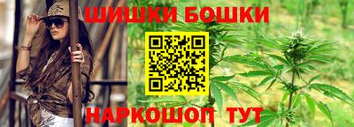 индика Шелехов