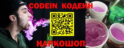 индика Шелехов