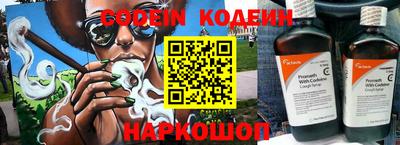 индика Шелехов